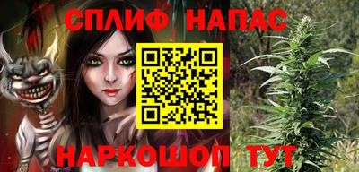 прущие грибы Канаш